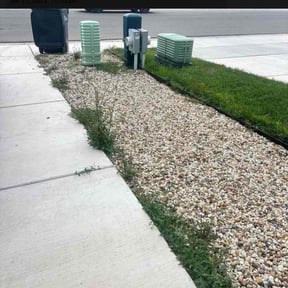 Weeding by Artscapes reviewed on February 28, 2022