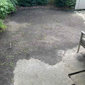 Bush Trimming by Early Risers Lawncare Service reviewed on March 15, 2025