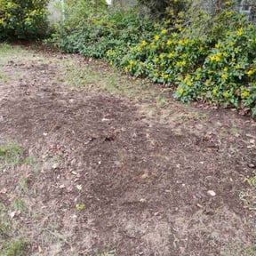 Leaf Removal by SW Services reviewed on May 17, 2025