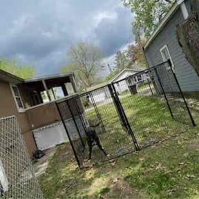 Leaf Removal by Johnson Family Lawn Service reviewed on June 22, 2022