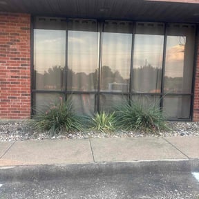 Flower Bed Weeding by Zeroslandscape reviewed on July 20, 2022