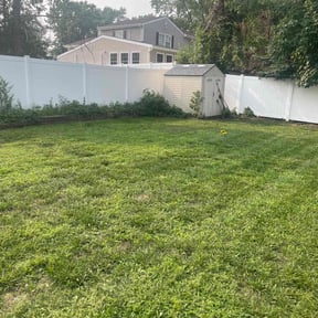 Bush Trimming by ESPINOSA JE LANDSCAPING LLC reviewed on July 19, 2022