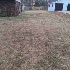 Leaf Removal by E-MACULATE LAWN CARE LLC reviewed on May 12, 2025