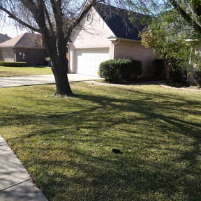 Weeding by Lion's Landscaping reviewed on April 15, 2025