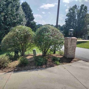 Bush Trimming by Bubbas lawn service/car reviewed on August 1, 2024