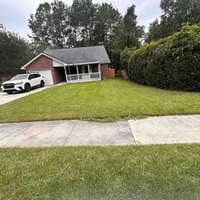 Bush Trimming by Turnerz Does it All reviewed on June 26, 2025