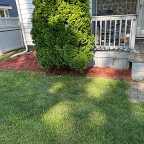 Landscaping by Family lawn care reviewed on July 19, 2022