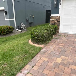 Bush Trimming by Orlando Palms reviewed on October 18, 2024