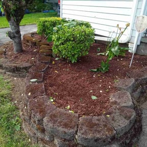 Flower Bed Weeding by C n C Services reviewed on October 22, 2023