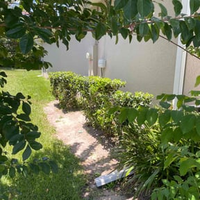 Bush Trimming by Complete Lawn Care reviewed on June 21, 2022