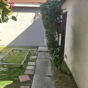 Bush Trimming by L&J Investment Properties reviewed on July 18, 2022