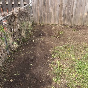 Cleanups by LSLTDallas/FortWorthTruGreen reviewed on October 14, 2024