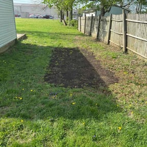 Lawn Seeding by Y.A.Y Landscaping reviewed on July 20, 2022