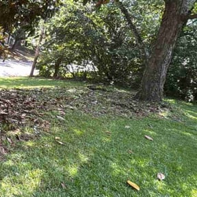 Weeding by Islandbreezelawns reviewed on October 23, 2022