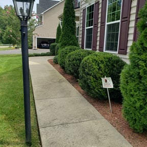 Bush Trimming by Household Maintenance &amp; Lawn Care Services reviewed on December 16, 2024