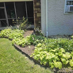 Flower Bed Weeding by Personal Touch reviewed on July 28, 2025