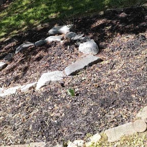 Cleanups by MelMar Lawn Care reviewed on March 3, 2022