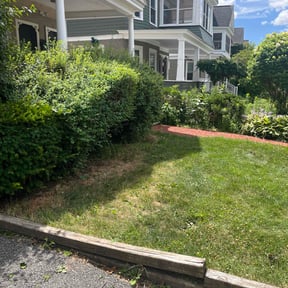Bush Trimming by CM Bush's Lawncare reviewed on August 8, 2022