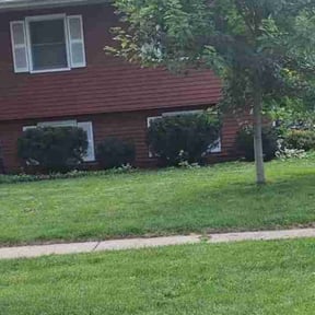 Bush Trimming by We Can Do It Landscaping and Handyman Services LLC reviewed on March 15, 2025