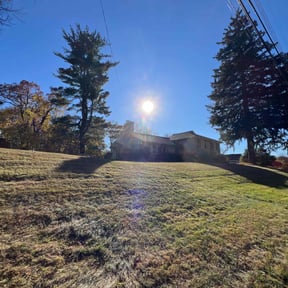 Leaf Removal by Midplains Properties LLC reviewed on April 27, 2022