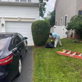 Bush Trimming by A Better Way reviewed on July 24, 2022