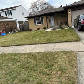 Leaf Removal by Brandan Brown reviewed on April 6, 2022
