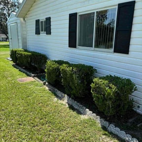 Bush Trimming by CM Lawn Service reviewed on April 19, 2025