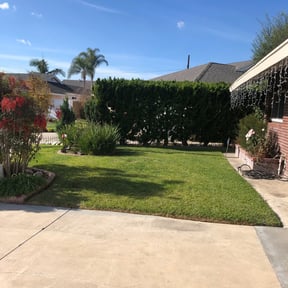 Bush Trimming by Herrera Lawn Maintenance reviewed on June 8, 2022