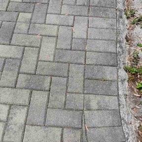 Weeding by Jose&amp;Jose Landscaping reviewed on June 25, 2022