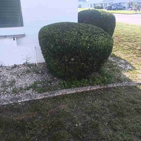 Bush Trimming by E.R. Lawn Care Services reviewed on November 30, 2022