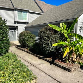 Bush Trimming by Active Lawn Care &amp; Landscapes reviewed on March 18, 2025