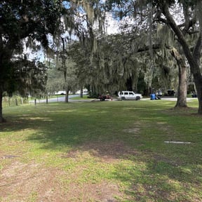 Cleanups by John's Lawn Maintenance reviewed on June 21, 2025