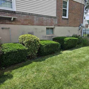 Bush Trimming by S & G Landscaping Inc reviewed on July 9, 2022