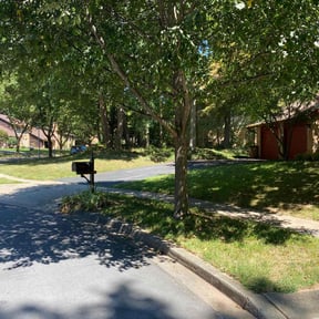 Leaf Removal by Wilson Leon Landscaping reviewed on June 20, 2025