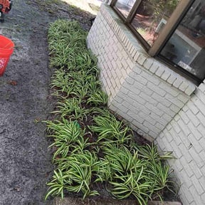 Weed Pulling by Primos  Grow&amp;Mow reviewed on May 18, 2025