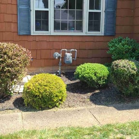 Bush Trimming by ALL-N-1 GROUND MAINTENANCE reviewed on April 28, 2021