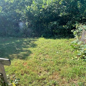 Bush Trimming by Morris Landscaping Services reviewed on July 26, 2025