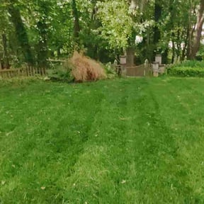 Bush Trimming by SleepyCutz Landscaping reviewed on October 21, 2024