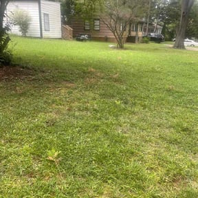 Weeding by Cristopher Beltran reviewed on May 23, 2025