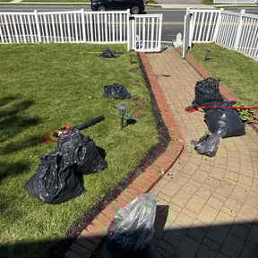 Leaf Removal by Jeremiah Williams reviewed on April 26, 2022