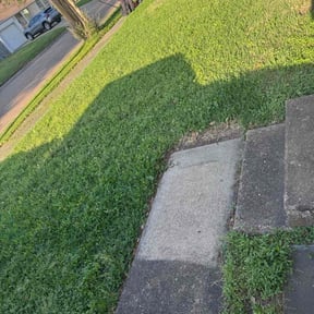 Cleanups by Greg's gardens reviewed on July 18, 2022