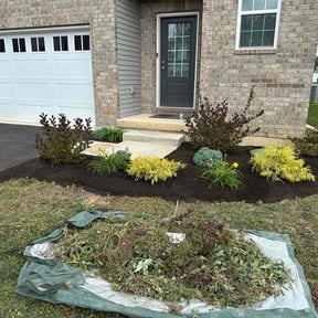 Landscaping by Mr. Mower reviewed on June 11, 2022