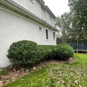 Bush Trimming by S & G Landscaping Inc reviewed on June 19, 2022