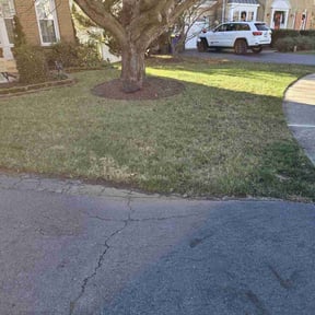 Leaf Removal by Shawn Hussey Lawns reviewed on October 3, 2024