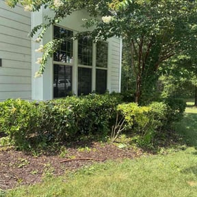 Bush Trimming by Oasis Landscape reviewed on August 2, 2022