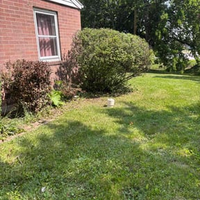 Bush Trimming by Lake Area Landscaping reviewed on November 15, 2024