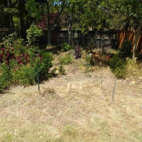 Leaf Removal by Parker's Lawn and Land reviewed on July 9, 2022