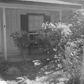 Bush Trimming by Paradise Lawn Service reviewed on May 21, 2025