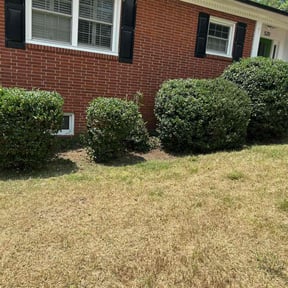 Bush Trimming by DeShawn's Lawn Care reviewed on June 1, 2022