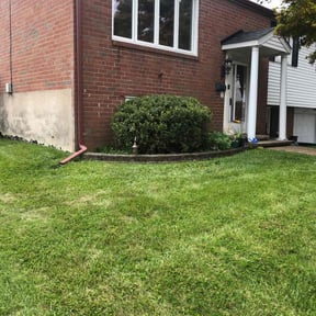 Bush Trimming by La Roca Landscaping reviewed on April 13, 2022